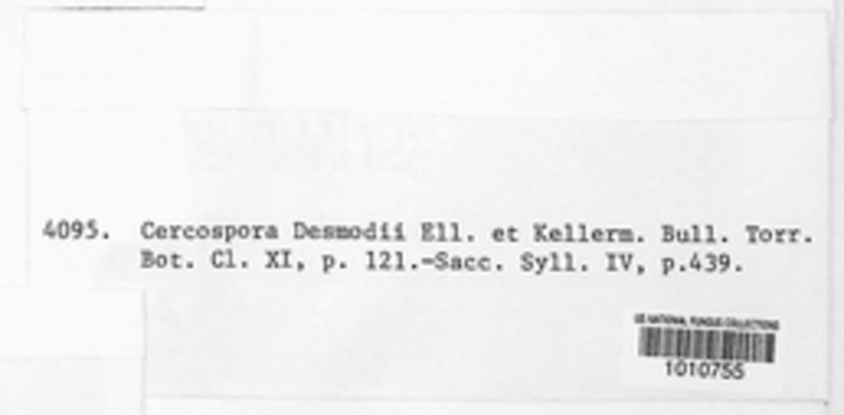Passalora desmodii image
